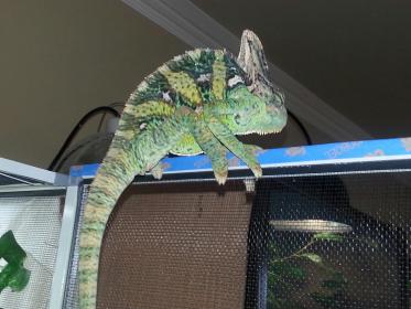 20130922_081814.jpg