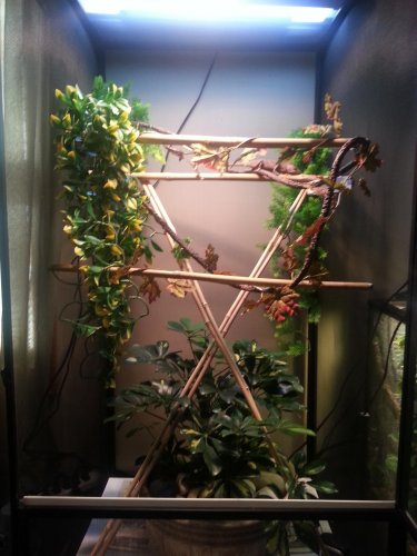 2013-09-23 08.33.44.jpg