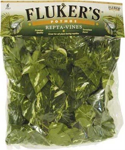 flukers vine.jpg