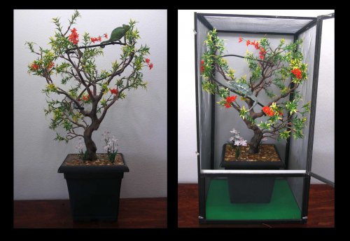 in cang out of t.jpg