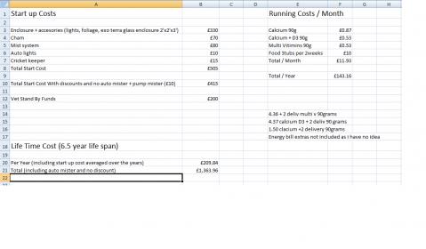 Screen grab of costs.jpg