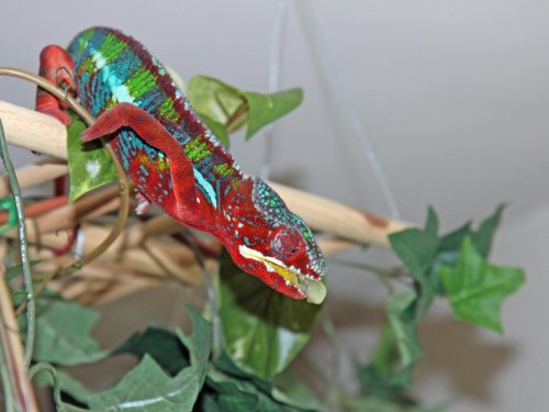 squeeJr002.jpg