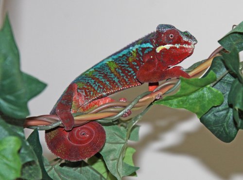 squeejr0003.jpg