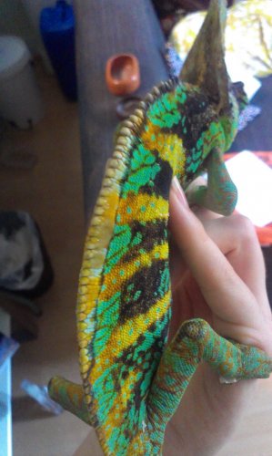 2013-09-29 13.08.51.jpg