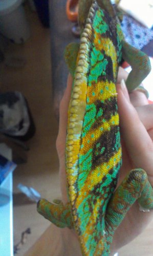 2013-09-29 13.09.05.jpg