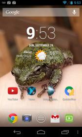 2013-09-29 13.53.55.jpg