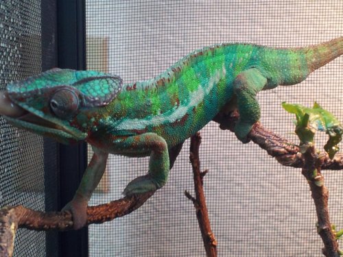 2013-10-02 10.45.19.jpg