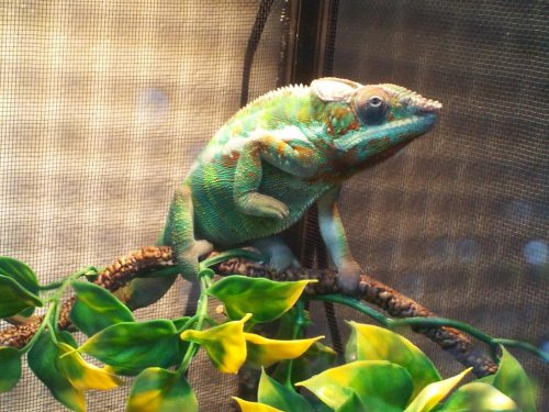 2013-10-02 10.41.38.jpg