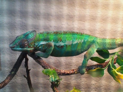 2013-10-02 10.44.07.jpg