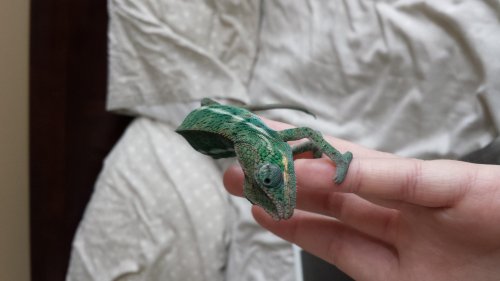 20130915_114936.jpg