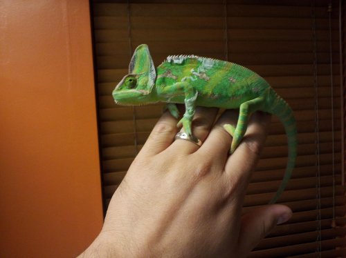 2013-10-04 20.31.12.jpg