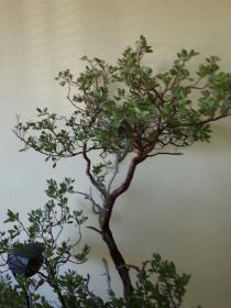 20131005_140940.jpg
