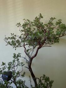 20131005_140937.jpg