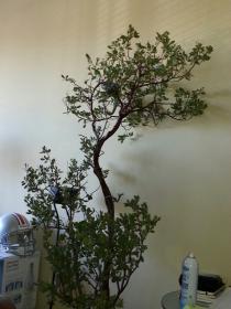 20131005_140907.jpg