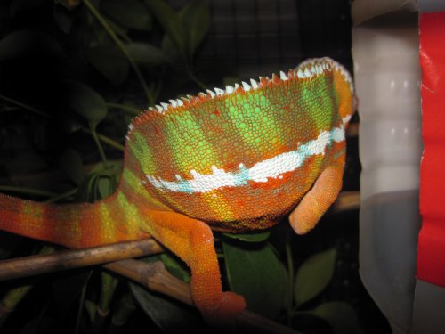 FACEBOOK PICS! 025.jpg