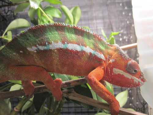 FACEBOOK PICS! 005.jpg