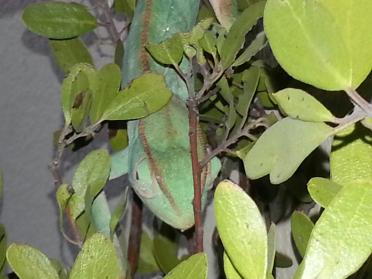 20131006_094441.jpg