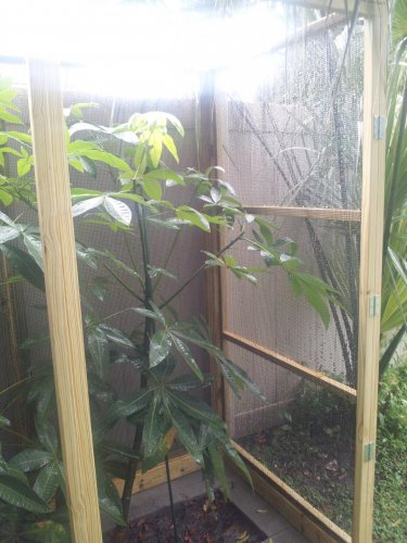 cage inside panel with bracing and mesh.jpg