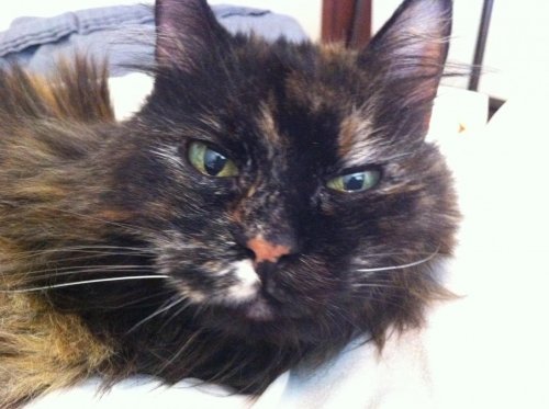 2011-10-08 13.45.41.jpg