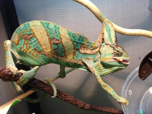 1377594_10151824956626773_1561734204_n (1).jpg