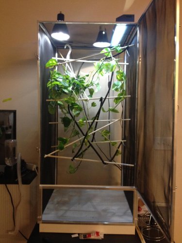 2013-10-10 21.54.22.jpg