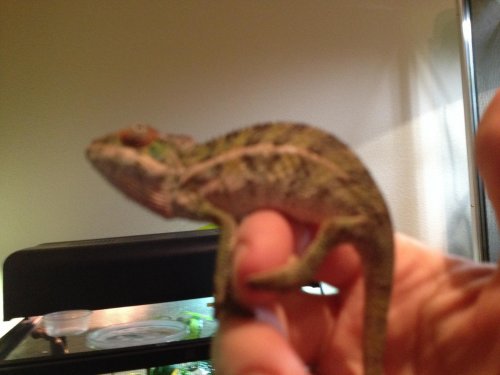 2013-10-11 10.38.53.jpg