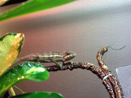 2013-10-11 10.39.36.jpg