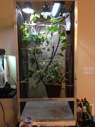 2013-10-11 11.37.49.jpg