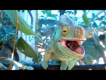 Snapshot 2 (10-11-2013 2-52 PM).jpg