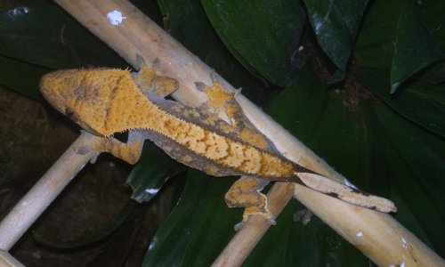 IMG_3111.jpg
