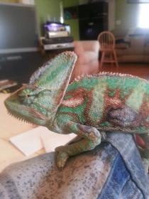 20131016_133752.jpg