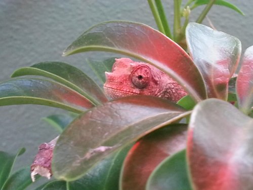 2013-10-17 16.23.36.jpg