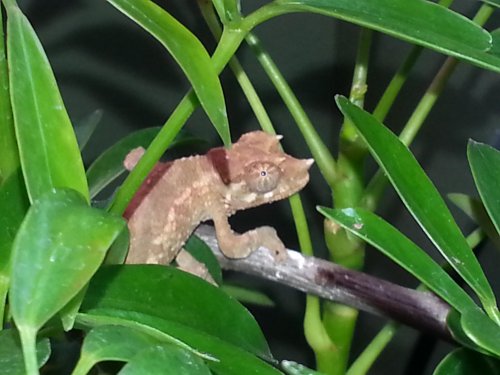 2013-10-17 16.25.11.jpg