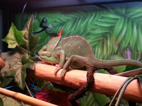 2013-10-17 17.13.05.jpg