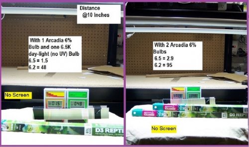 arcadia 6% in double fixture c.jpg