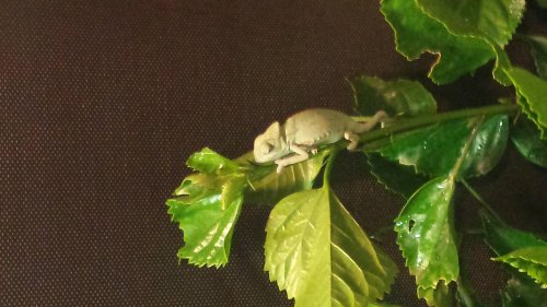 20131018_180606.jpg