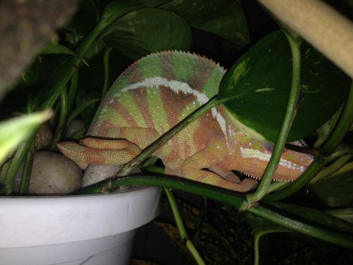 2013-10-20 20.55.19.jpg