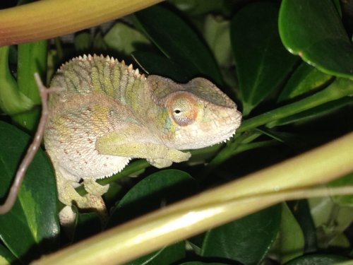 2013-10-20 20.55.51.jpg