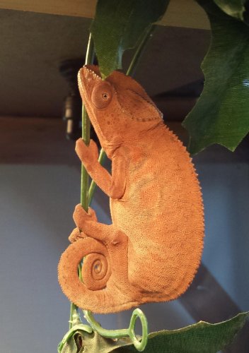 20131020_100838.jpg