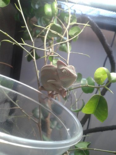 20131021_131403.jpg