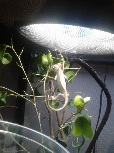 20131021_131554.jpg