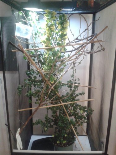 20131021_131607.jpg