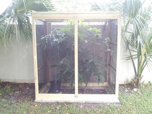 cage more plants..jpg