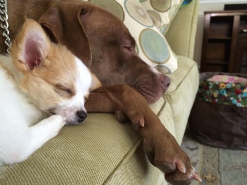 macie and charlie.jpg