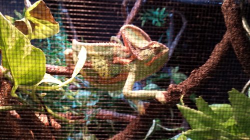 20131028_181622.jpg