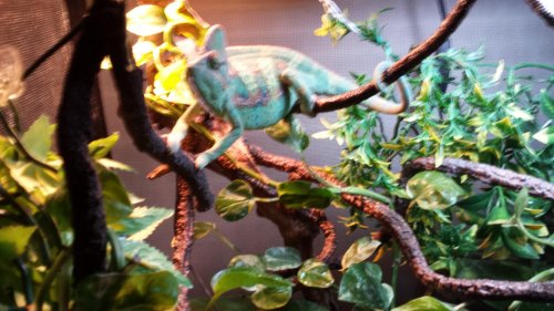 20131028_181639.jpg