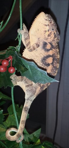 20131029_185205.jpg