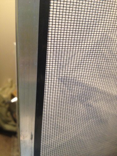 2013-11-05 10.58.32.jpg