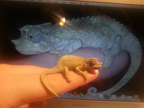 2013-11-06 20.52.58.jpg