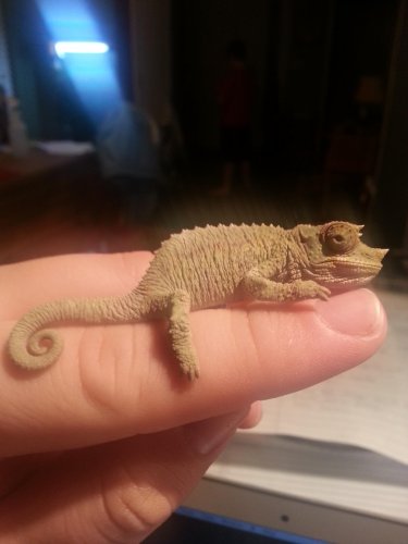 2013-11-06 20.54.20.jpg